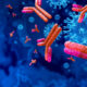 Antibodies and antibody background and Immunoglobulin concept as t cells attacking contagious virus cells and pathogens as a 3D illustration.