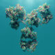 pH sensitive antibodies developed by Mabqi